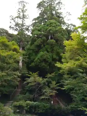 八女津媛神社(福岡県)