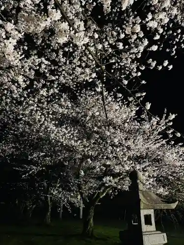 守りの神　藤基神社の庭園