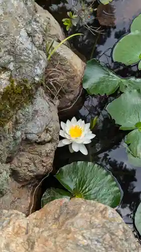 大原野神社(京都府)