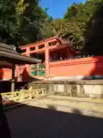 春日大社 若宮(春日若宮)(奈良県)