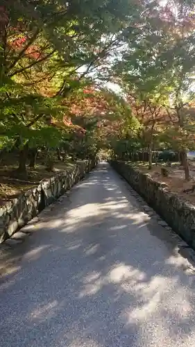 興聖寺（興聖寶林禅寺）のその他建物