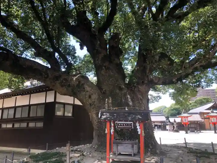佐嘉神社・松原神社(佐賀県)