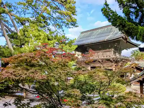 白山神社(新潟県)