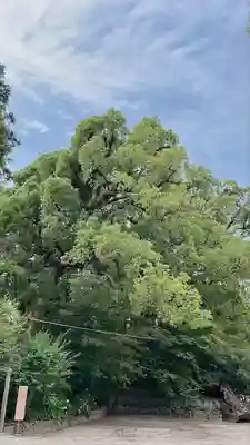 與止日女神社(佐賀県)