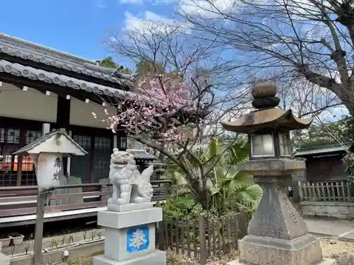 田蓑神社の狛犬