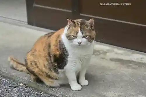 賀茂別雷神社(栃木県)