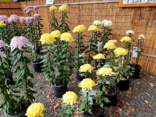 大國魂神社(東京都)