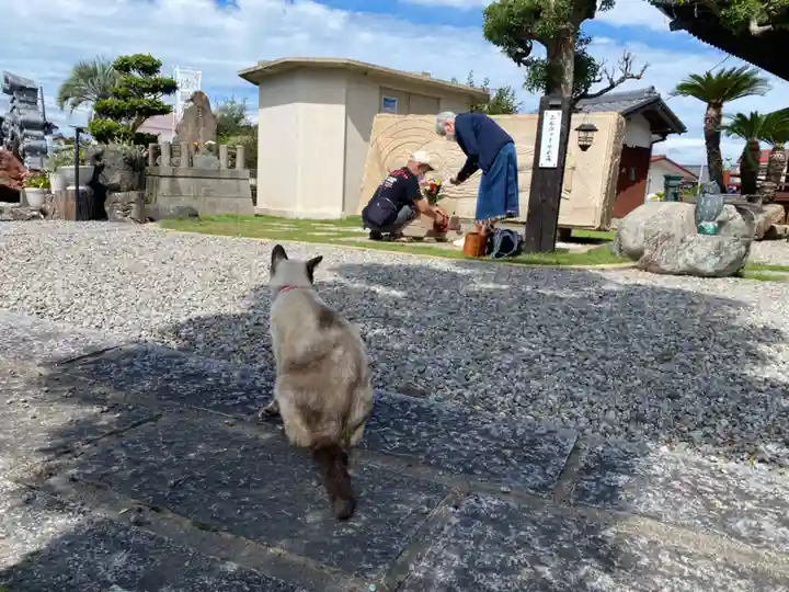 宣隆寺(三重県)