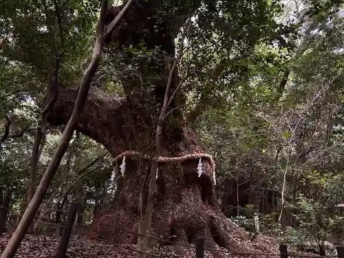 熱田神宮(愛知県)