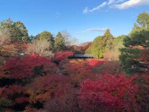 東福禅寺（東福寺）(京都府)