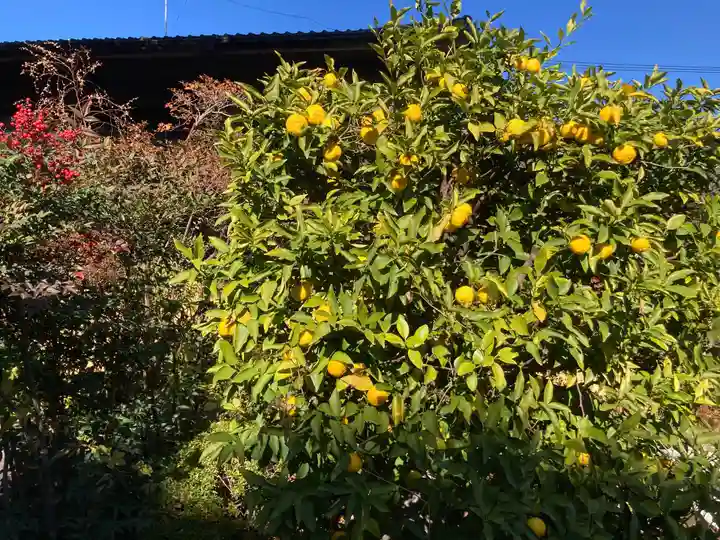 成願寺(神奈川県)