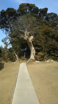 愛宕神社の自然