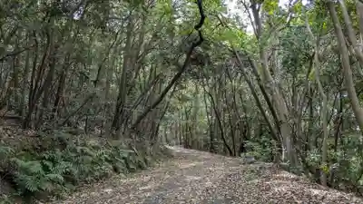 大尾神社の自然