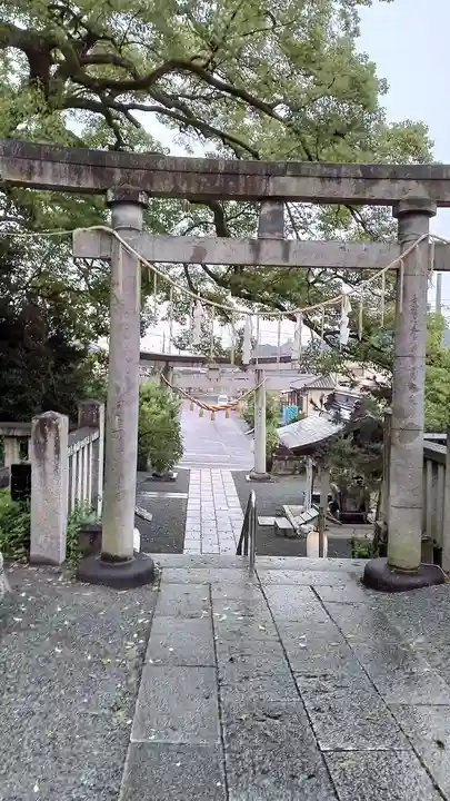 八雲神社(緑町)(栃木県)
