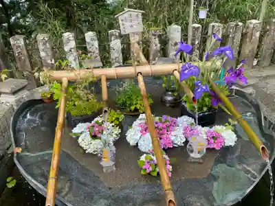 青岸渡寺(和歌山県)