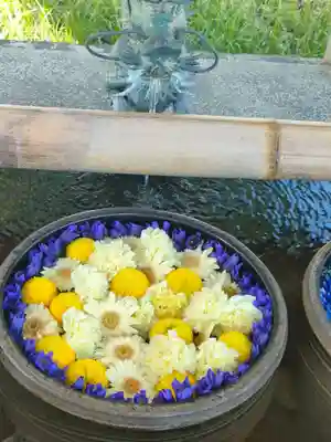津島神社の手水舎