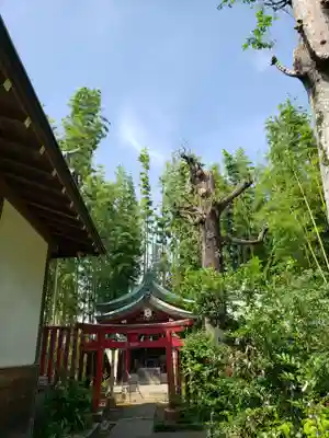 鷺宮八幡神社(東京都)