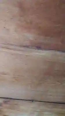 宝泉院(京都府)