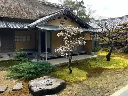 慈光院(奈良県)