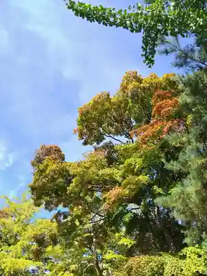 厚別神社(北海道)