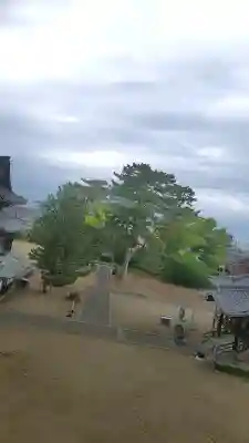 善通寺の{uncategorized: "未分類", other: "その他", undefined: "問題あり", building: "その他建物", grave: "お墓", sacred_gate: "鳥居", guardian: "狛犬", statue: "像", buddha: "仏像", history: "歴史", nature: "自然", garden: "庭園", animal: "動物", pagoda: "塔", temizu: "手水舎", mountain_gate: "山門・神門", sanctuary: "本殿・本堂", subordinate: "末社・摂社", art: "芸術", scenery: "景色", jizo: "地蔵", ema: "絵馬", goshuin: "御朱印", omikuji: "おみくじ", items: "授与品その他", amulet: "お守り", goshuincho: "御朱印帳", eats: "食事", festival: "お祭り", votive_dance: "神楽", shichigosan: "七五三参", wedding: "結婚式", experience: "体験その他", initially: "初詣", around: "周辺", anti_infection: "感染症対策"}