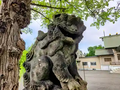 篠路神社の狛犬