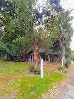 白山社(丹陽町九日市場)の自然