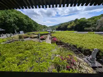 長泉寺(埼玉県)