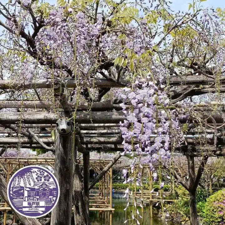 亀戸天神社(東京都)