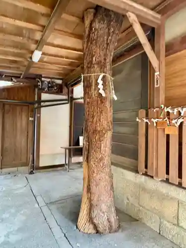 嚴島神社 (京都御苑)(京都府)