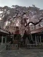 洞林寺(宮城県)