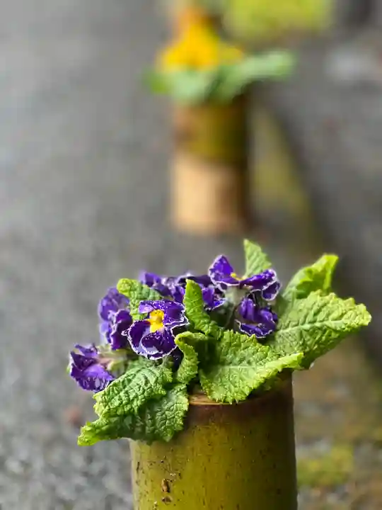 須山浅間神社(静岡県)