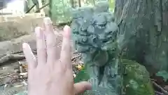 鹿嶋神社の狛犬