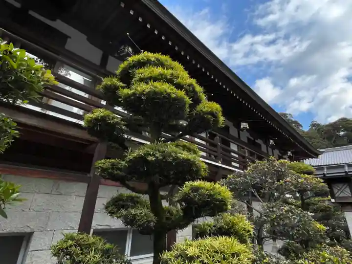大神神社(奈良県)