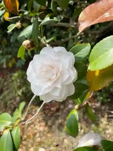 城南宮(京都府)