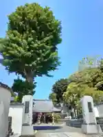 浄林寺の山門・神門