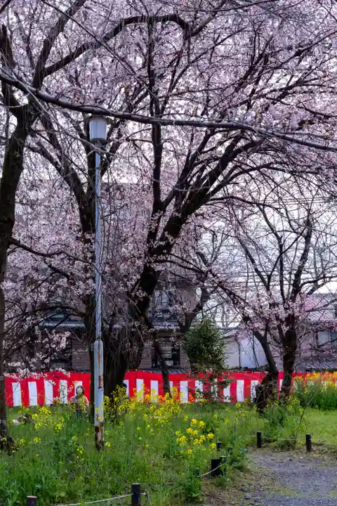 平野神社(京都府)