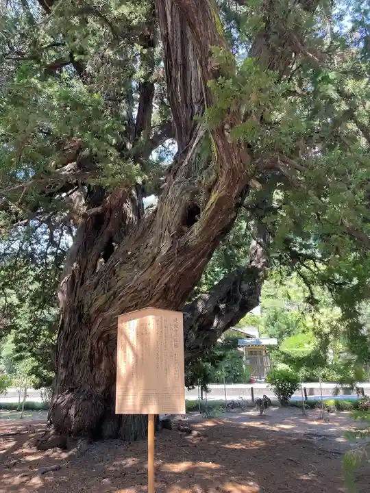 建長寺(神奈川県)
