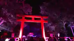 賀茂御祖神社（下鴨神社）の鳥居