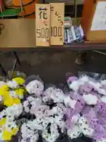 南養寺の山門・神門