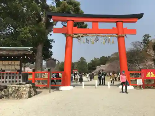 賀茂別雷神社（上賀茂神社）の{uncategorized: "未分類", other: "その他", undefined: "問題あり", building: "その他建物", grave: "お墓", sacred_gate: "鳥居", guardian: "狛犬", statue: "像", buddha: "仏像", history: "歴史", nature: "自然", garden: "庭園", animal: "動物", pagoda: "塔", temizu: "手水舎", mountain_gate: "山門・神門", sanctuary: "本殿・本堂", subordinate: "末社・摂社", art: "芸術", scenery: "景色", jizo: "地蔵", ema: "絵馬", goshuin: "御朱印", omikuji: "おみくじ", items: "授与品その他", amulet: "お守り", goshuincho: "御朱印帳", eats: "食事", festival: "お祭り", votive_dance: "神楽", shichigosan: "七五三参", wedding: "結婚式", experience: "体験その他", initially: "初詣", around: "周辺", anti_infection: "感染症対策"}