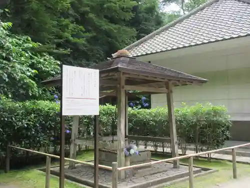 明月院(神奈川県)