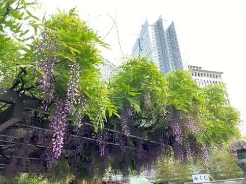 日枝神社の自然