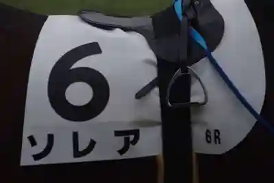 東京競馬場馬頭観音(広島県)