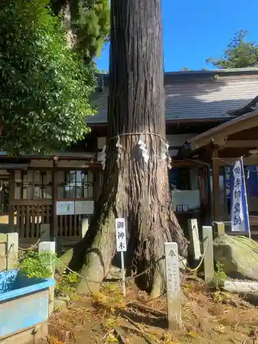 山倉大神(千葉県)