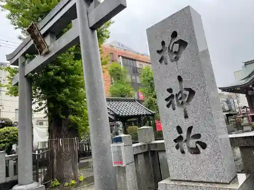 柏神社の鳥居