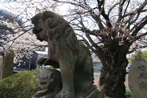 十念寺の狛犬