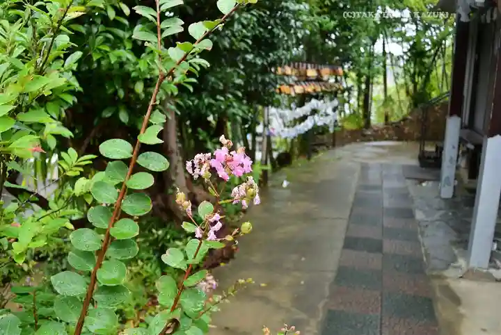 横浜御嶽神社(神奈川県)