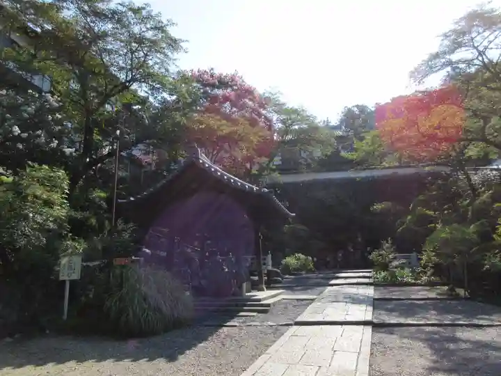 岡寺(龍蓋寺)のその他建物