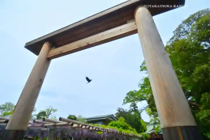越ヶ谷久伊豆神社(埼玉県)